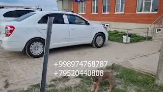 россия ташкент такси москва узбекистан такси прямой рейс