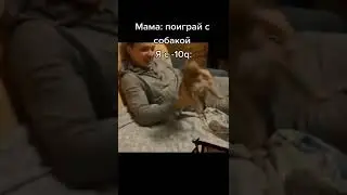 мем  