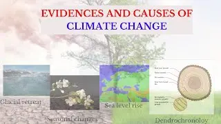 GCSE/CSEC GEOGRAPHY: EVIDENCES AND CAUSES OF CLIMATE CHANGE