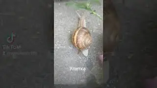16 июня 2023 г.