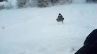Дривтим боком