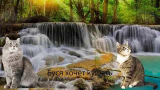 Утренние чтения 