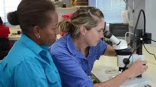 Skilled Migration - Australian Cotton Research Institute, Narrabri, Ellen Iramu
