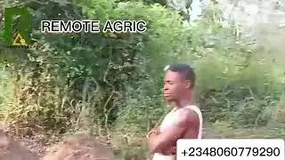 REMOTE AGRIC: Own A Yam Farm Part 3 YAM Planting