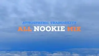 Atmospheric Tranquility: All Nookie Mix (Chilled Jungle / Drum & Bass)