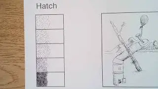 How To: Hatch + Cross-Hatch Value Scale in Pen and Ink