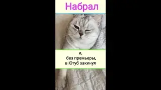 Ну вот и собрал шортсы с телефона в кучку: подборка прикольных видео #тикток приколы
