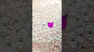arkadaşlar orada 80 tane dolar ver toplam kaç TL eder #keşfetbeniöneçıkar #viral #music #art