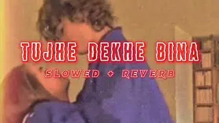 Tujhe Dekhe Bina (Slowed + Reverb) Lofi || Tune Mere Dil Ko Kabhi Jana Hi Nahi #trending #lofi #sad