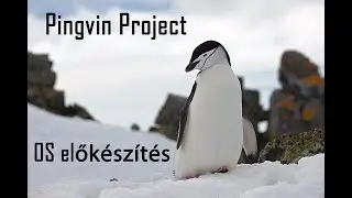 Pingvin Project 02 - Fejlesztői környezet a nulláról