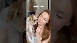 плюсы и минусы бивер Йорков 