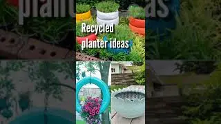 Recycled planter ideas 