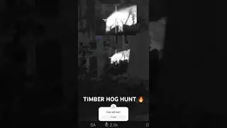 THERMAL HOG HUNTING IN THE TIMBER !🔥 🤯 #hunting #happyhunting #nuisance