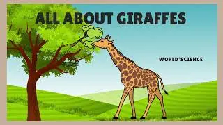 Giraffe 🦒 | All About them | World’s Science |