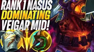 GIGA-CARRYING Masters as Nasus! Rank 1 Nasus Season 13 | Carnarius | League of Legends