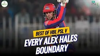 Every Alex Hales Boundary || Best Of HBL PSL V || Alex Hales || Cricket Huz