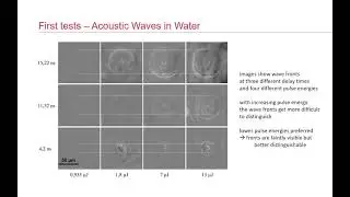 Pump Probe Elastography (PPE)
