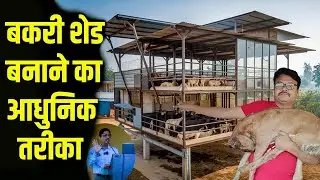 बकरी शेड बनाने का आधुनिक तरीका🏡 ।। Hi-Tech Bakri Shed kaise Banayen।Modern way of making goat shed