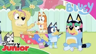 Trouble at the Salon 💅 | Bluey 💙 | Disney Junior Arabia