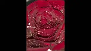С наступающим 8 марта       Фото лично сделаны мной