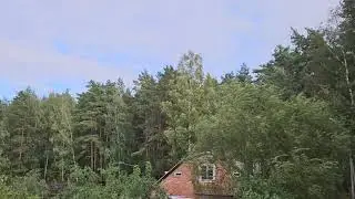 КАК СИЛЫ СПАСАЮТ СУДЬБЫ ВЕДЬМИНА ИЗБА