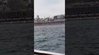 7 мая 2024 г.#shorts