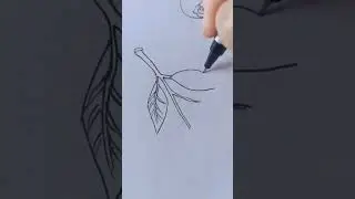 рисую яблоки и фрукты