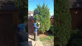 Агроном-юг