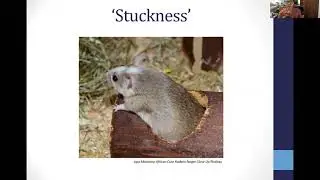Working with Challenges and ‘Stuckness’