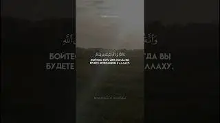 Мухаммад аль-Люхайдан. Сура 2 Аль-Бакара (281)