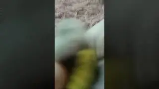 Murder drones meme | Дроны убийцы мем