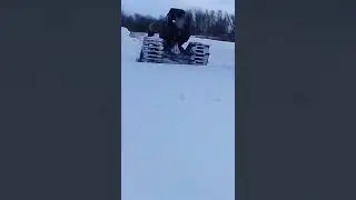 Гусеницы на мотоблок! Когда упал ,не отпускай ручку !!!