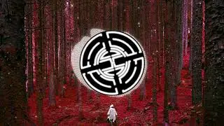 Petit Biscuit | Ft.@Amixem  | The Forest | 2024