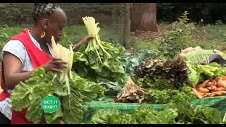 An Organic farm guide from a 10-year experience in good agroecology - Get it right