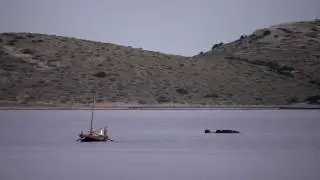 Dumina trailer