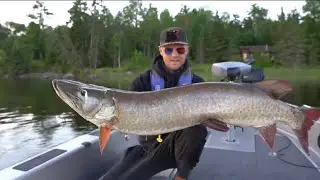 TOP 3 HUGE LATE SEASON MUSKIES - (compilation)
