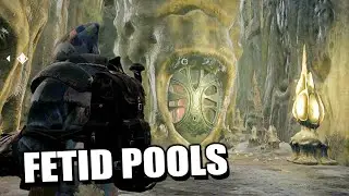 Remnant From The Ashes - How To Solve Fetid Pools Puzzle (Swamps of Corsus DLC)