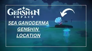 Sea Ganoderma Genshin Location | Sea Ganoderma Fast Farm Route | Genshin Impact