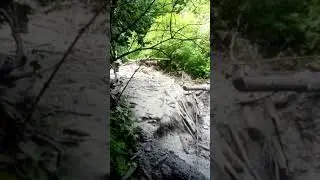 Селевий потік Ділове