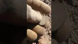 Снова СЕРЕБРО! Класс, прямо на поверхности!  