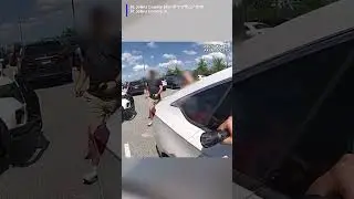Deputies rescue dog left inside hot car with windows up