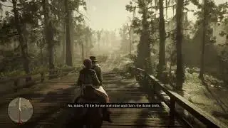 Woman from Lagras made me regret for helping her -RDR2