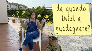 primi GUADAGNI di un'azienda agricola - DA QUANDO??