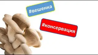 Маринованные вешенки на зиму. Вешенка. Консервация Вешенки. Грибы. Вешенки маринованные.