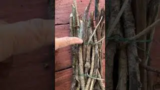Braid to tie kindling