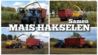 SAMEN MAIS HAKSELEN | Loonbedrijven werken samen | Boer Gerrit vlogt