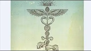 CADUCEUS as a neutron flux moderator [AUDIO]. 07.08.21.
