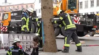Der Weihnachtsbaum wird am Augsburger Christkindlesmarkt aufgestellt
