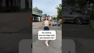Рай для хоккеистов #hockey