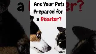Disaster Preparedness for Your Pets #disasterpreparedness #emergencypreparedness